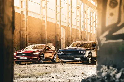 DREAM CARS_wypozyczalnia